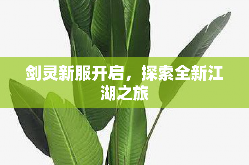 剑灵新服开启，探索全新江湖之旅