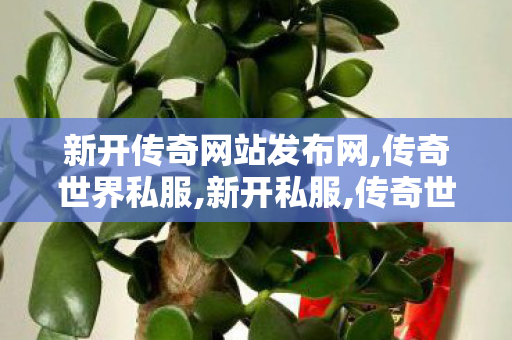 新开传奇网站发布网,传奇世界私服,新开私服,传奇世界私服吧,传奇世界私服,新开私服