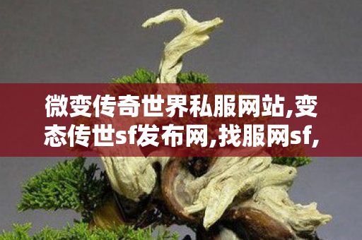 微变传奇世界私服网站,变态传世sf发布网,找服网sf,变态传世sf发布网
