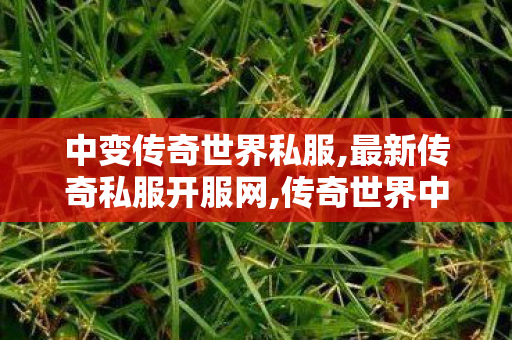 中变传奇世界私服,最新传奇私服开服网,传奇世界中变,最新传奇私服开服网