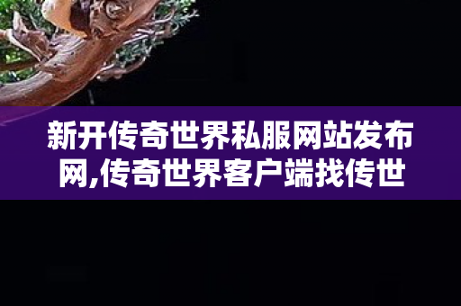 新开传奇世界私服网站发布网,传奇世界客户端	找传世sf,传奇世界sf发布网站,传奇世界客户端	找传世sf