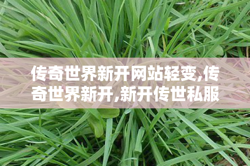 传奇世界新开网站轻变,传奇世界新开,新开传世私服网站,传奇世界新开