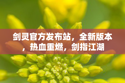 剑灵官方发布站，全新版本，热血重燃，剑指江湖