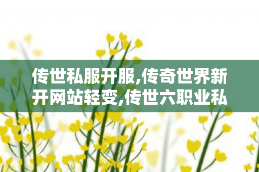 传世私服开服,传奇世界新开网站轻变,传世六职业私服,传奇世界新开网站轻变