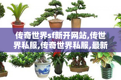 传奇世界sf新开网站,传世界私服,传奇世界私服,最新传世私服,传世界私服