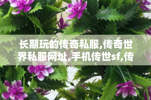 长期玩的传奇私服,传奇世界私服网址,手机传世sf,传奇世界私服网址