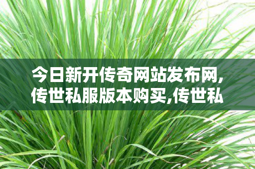 今日新开传奇网站发布网,传世私服版本购买,传世私服发布网,传世私服版本购买