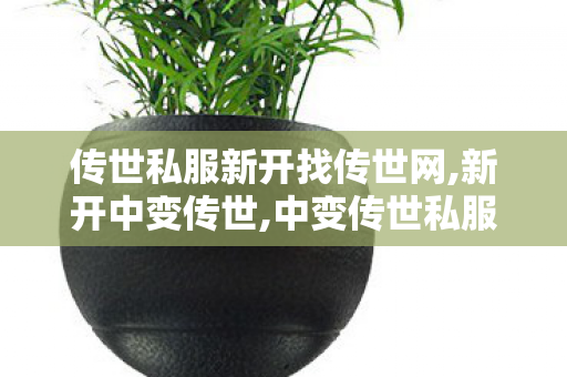 传世私服新开找传世网,新开中变传世,中变传世私服,新开中变传世