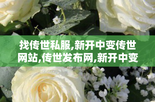 找传世私服,新开中变传世网站,传世发布网,新开中变传世网站