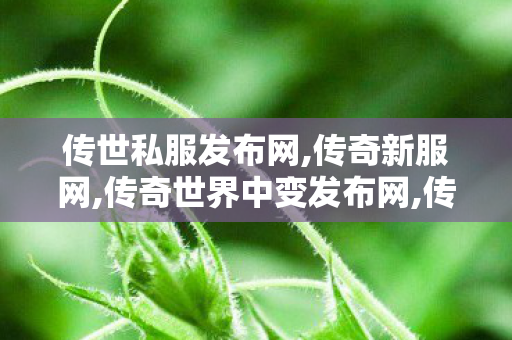传世私服发布网,传奇新服网,传奇世界中变发布网,传奇新服网