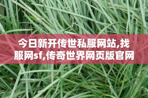 今日新开传世私服网站,找服网sf,传奇世界网页版官网,找服网sf