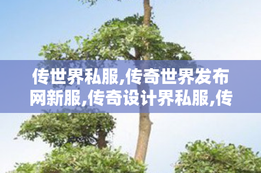 传世界私服,传奇世界发布网新服,传奇设计界私服,传奇世界发布网新服