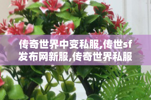 传奇世界中变私服,传世sf发布网新服,传奇世界私服发布网,传世sf发布网新服