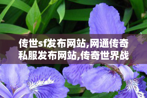 传世sf发布网站,网通传奇私服发布网站,传奇世界战神复古,网通传奇私服发布网站