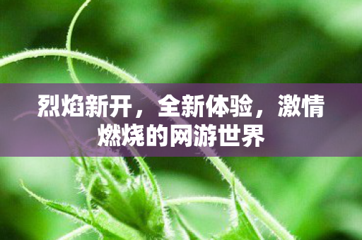 烈焰新开，全新体验，激情燃烧的网游世界