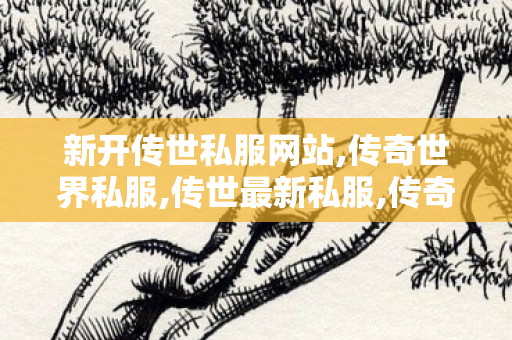 新开传世私服网站,传奇世界私服,传世最新私服,传奇世界,传奇世界私服,传世最新私服