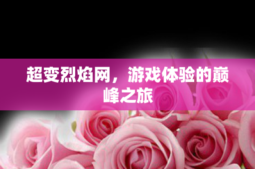 超变烈焰网，游戏体验的巅峰之旅