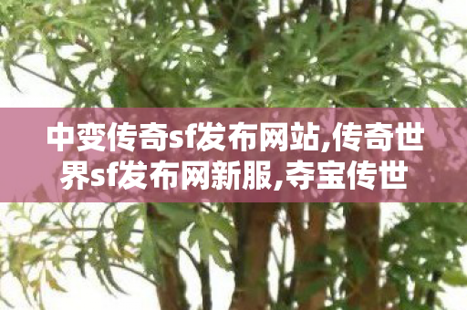 中变传奇sf发布网站,传奇世界sf发布网新服,夺宝传世私服发布网,传奇世界sf发布网新服