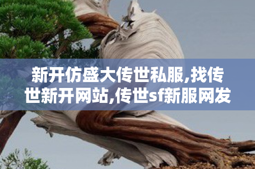新开仿盛大传世私服,找传世新开网站,传世sf新服网发布网,找传世新开网站