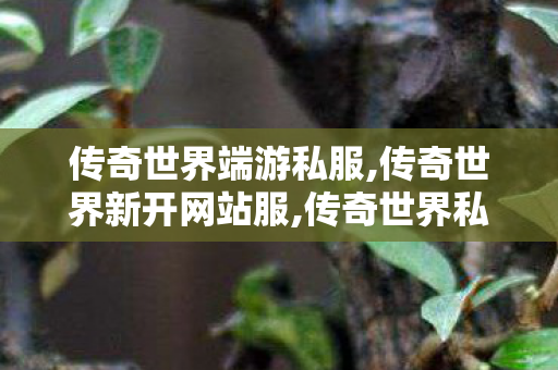 传奇世界端游私服,传奇世界新开网站服,传奇世界私f,传奇世界新开网站服