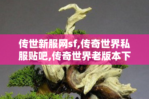 传世新服网sf,传奇世界私服贴吧,传奇世界老版本下载,传奇世界私服贴吧