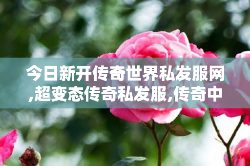 今日新开传奇世界私发服网,超变态传奇私发服,传奇中变sf发布网,超变态传奇私发服