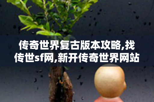 传奇世界复古版本攻略,找传世sf网,新开传奇世界网站刚开一秒,找传世sf网