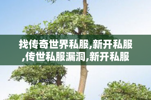 找传奇世界私服,新开私服,传世私服漏洞,新开私服