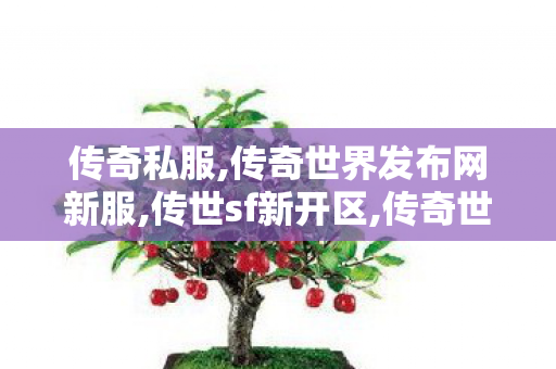 传奇私服,传奇世界发布网新服,传世sf新开区,传奇世界发布网新服