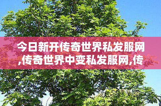 今日新开传奇世界私发服网,传奇世界中变私发服网,传世中变发布网,传奇世界中变私发服网
