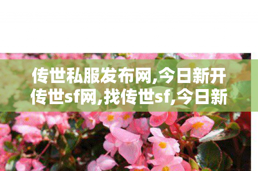 传世私服发布网,今日新开传世sf网,找传世sf,今日新开传世sf网