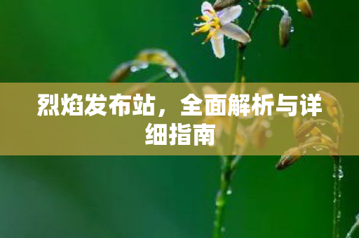 烈焰发布站，全面解析与详细指南