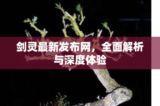 剑灵最新发布网，全面解析与深度体验