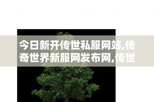 今日新开传世私服网站,传奇世界新服网发布网,传世sf发布网站,传奇世界新服网发布网