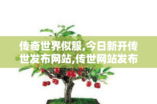 传奇世界似服,今日新开传世发布网站,传世网站发布网,今日新开传世发布网站