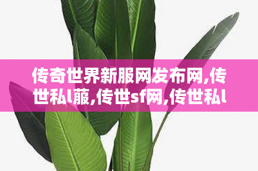 传奇世界新服网发布网,传世私l菔,传世sf网,传世私l菔