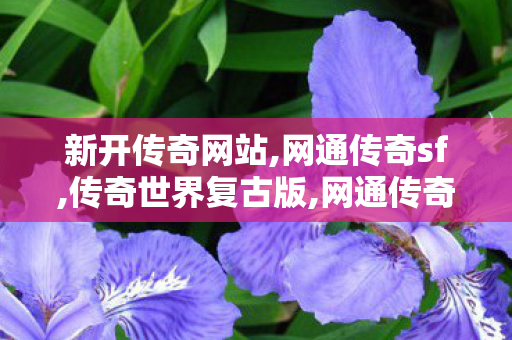 新开传奇网站,网通传奇sf,传奇世界复古版,网通传奇sf
