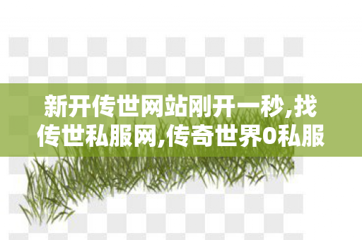 新开传世网站刚开一秒,找传世私服网,传奇世界0私服,找传世私服网