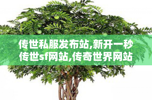 传世私服发布站,新开一秒传世sf网站,传奇世界网站手机版,新开一秒传世sf网站
