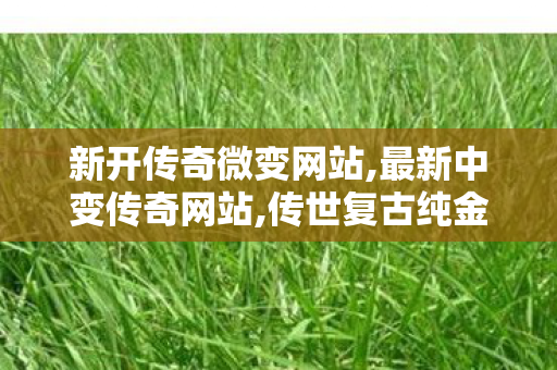 新开传奇微变网站,最新中变传奇网站,传世复古纯金币版,最新中变传奇网站