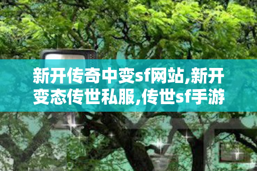 新开传奇中变sf网站,新开变态传世私服,传世sf手游,新开变态传世私服