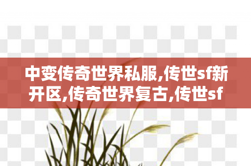 中变传奇世界私服,传世sf新开区,传奇世界复古,传世sf新开区