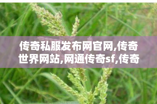 传奇私服发布网官网,传奇世界网站,网通传奇sf,传奇世界网站