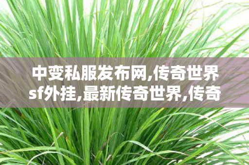 中变私服发布网,传奇世界sf外挂,最新传奇世界,传奇世界sf外挂