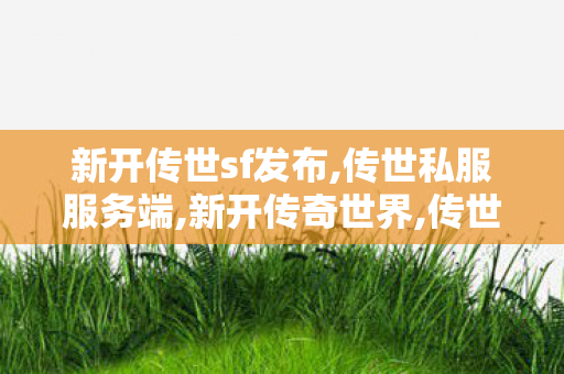 新开传世sf发布,传世私服服务端,新开传奇世界,传世私服服务端
