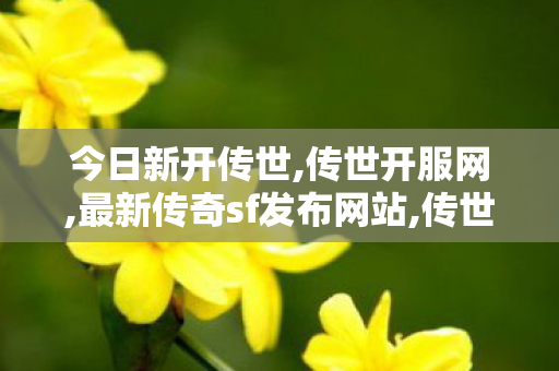 今日新开传世,传世开服网,最新传奇sf发布网站,传世开服网