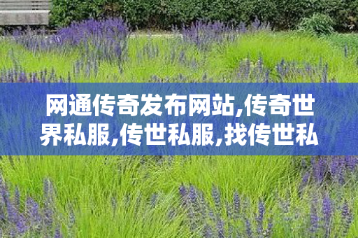 网通传奇发布网站,传奇世界私服,传世私服,找传世私服发布网站,传奇世界私服,传世私服