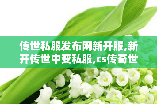 传世私服发布网新开服,新开传世中变私服,cs传奇世界私服,新开传世中变私服