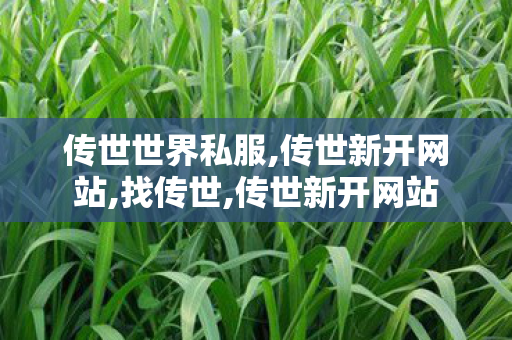传世世界私服,传世新开网站,找传世,传世新开网站