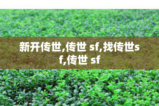 新开传世,传世 sf,找传世sf,传世 sf